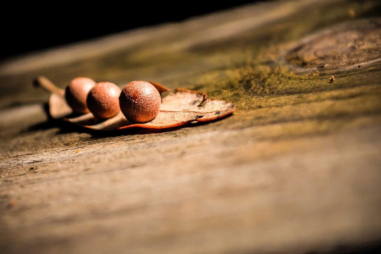 Harum sit sit molestias repudiandae quidem voluptas est aliquid rerum quibusdam